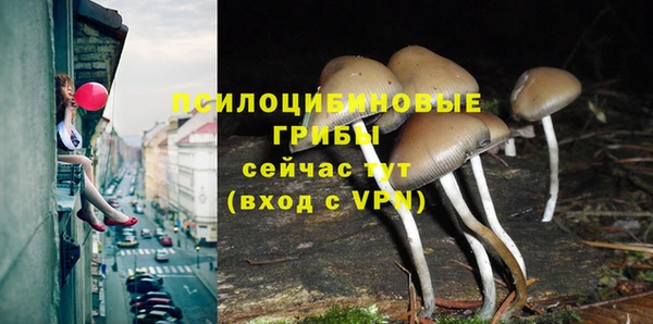 apvp Балабаново