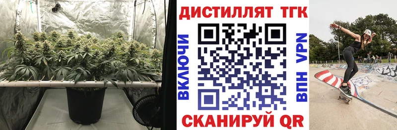 где продают наркотики  Красноярск  ТГК вейп 