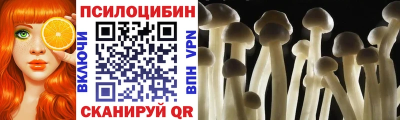 Псилоцибиновые грибы ЛСД  Красноярск 