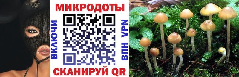 Галлюциногенные грибы GOLDEN TEACHER Красноярск